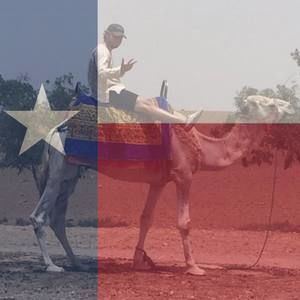 Meet your Posher, Matt